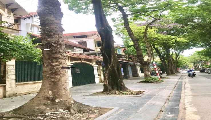 Chính chủ nhờ bán Biệt Thự Thọ Tháp 145m2, sổ đỏ chính chủ đang cất két, giá thương lượng có ra lộc.